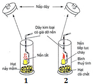 Khi đưa que diêm đang cháy vào bình (1) và bình (2). Hiện tượng được mô tả hình bên dưới. Có bao nhiêu giải thích đúng ? 1. Bình (1) tạo ra nước nên que nến không cháy được. (ảnh 1)