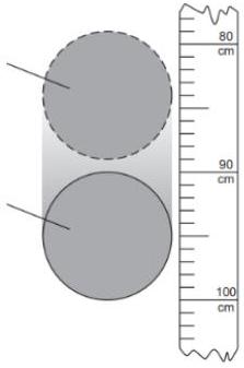 A ruler with circles and a measuring tape

AI-generated content may be incorrect.