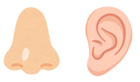 Listen and choose the correct answer. (ảnh 2)