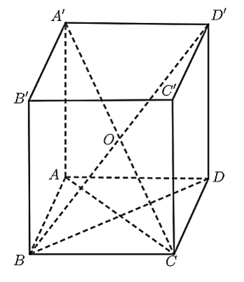   X&eacute;t \(\overrightarrow {AB}&nbsp; (ảnh 1)