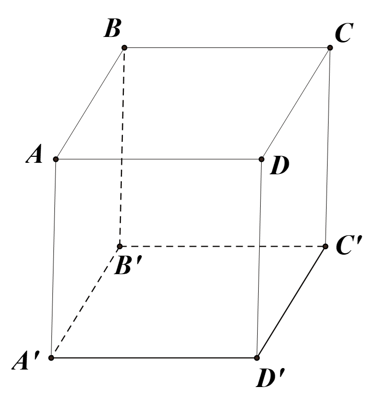 \(\overrightarrow {AB}  = \overrightarrow {D'C'} \). Chọn B. (ảnh 1)